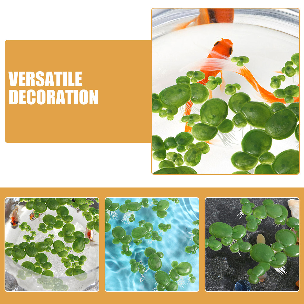 8 Bags Floating Aquarium Plant - Aquarium Fish Low Maintenance のレビューと価格