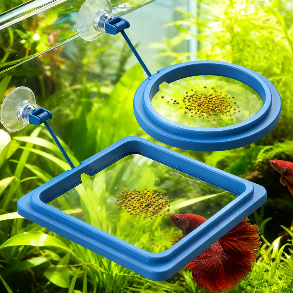 Betta Fish Food Floating Mini  - Aquarium Fish Price のレビューと価格