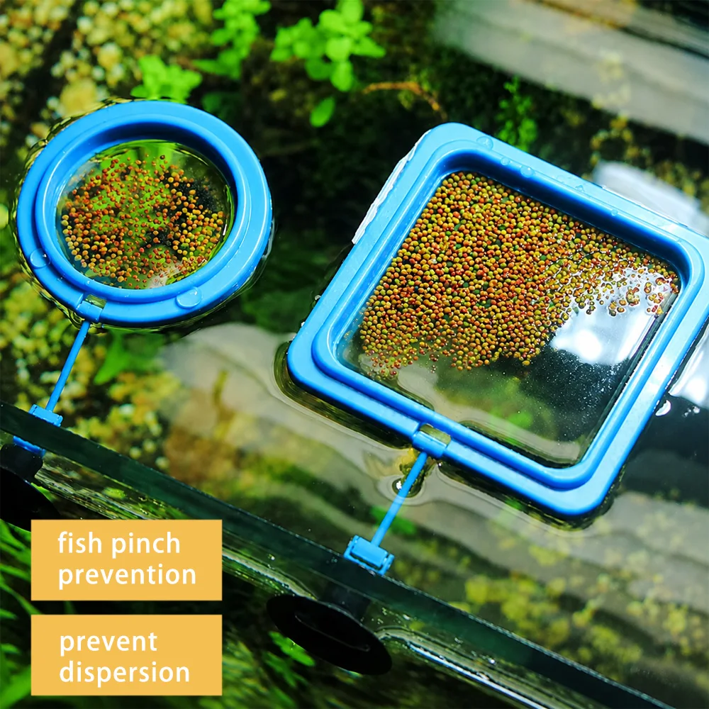 Betta Fish Food Floating Mini  - Aquarium Fish Price のレビューと価格