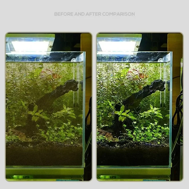 Fish Tank Algae Scraper, Dual- - Algae Scraper Blade のレビューと価格