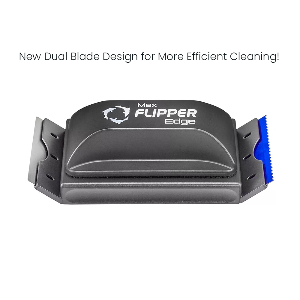 Flipper Edge Standard Max 2 in - Algae Scraper Blade のレビューと価格