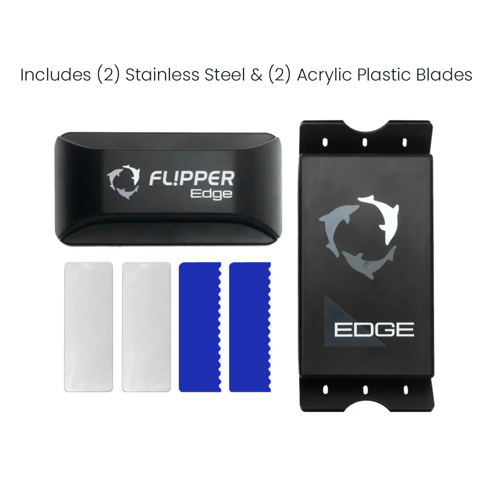 Flipper Edge Standard Max 2 in - Algae Scraper Blade のレビューと価格