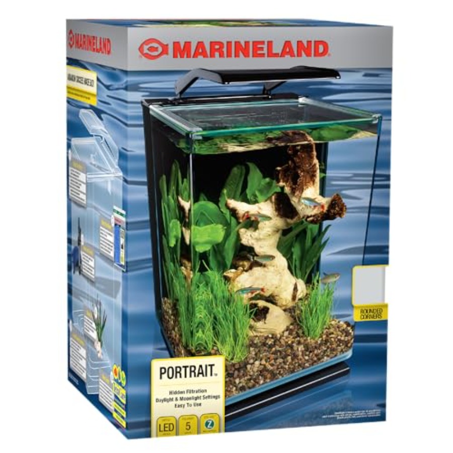5 Gallon Portrait Glass LED Aq - Aquarium Fish Low Maintenance のレビューと価格