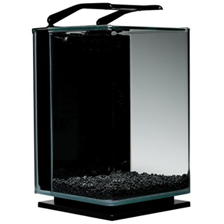 5 Gallon Portrait Glass LED Aq - Aquarium Fish Low Maintenance のレビューと価格