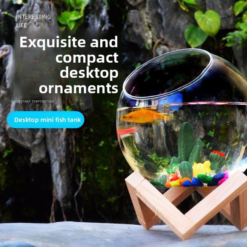 Mini Desktop Aquarium for Bett - Aquarium Fish Low Maintenance のレビューと価格