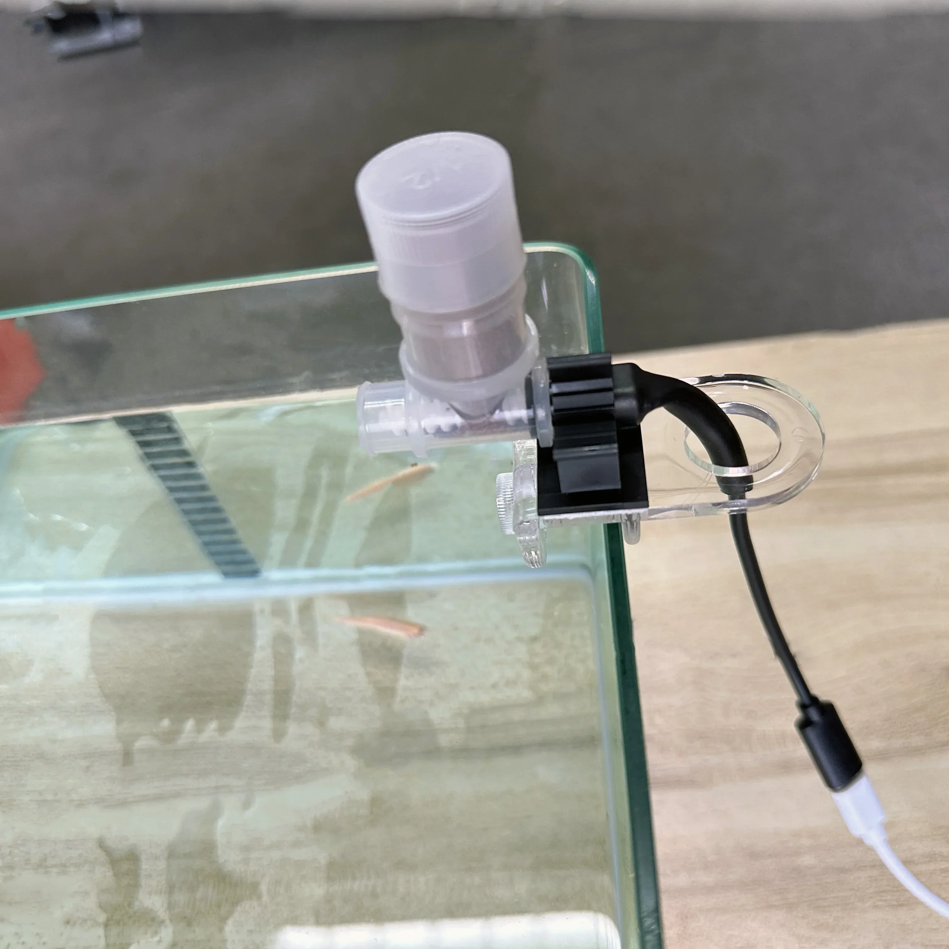 Best Automatic Fish Feeder - W - Aquarium Fish Price のレビューと価格