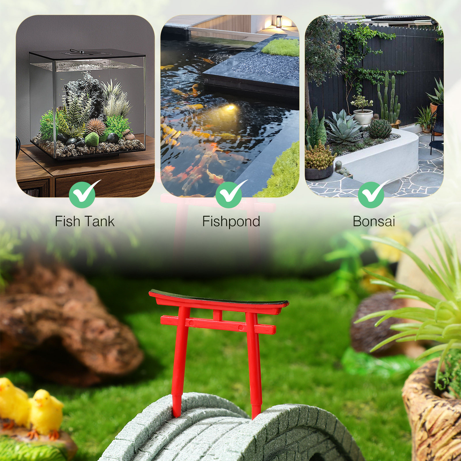 4 Pcs Aquarium for Betta Fish  - Aquarium Fish Japanese のレビューと価格