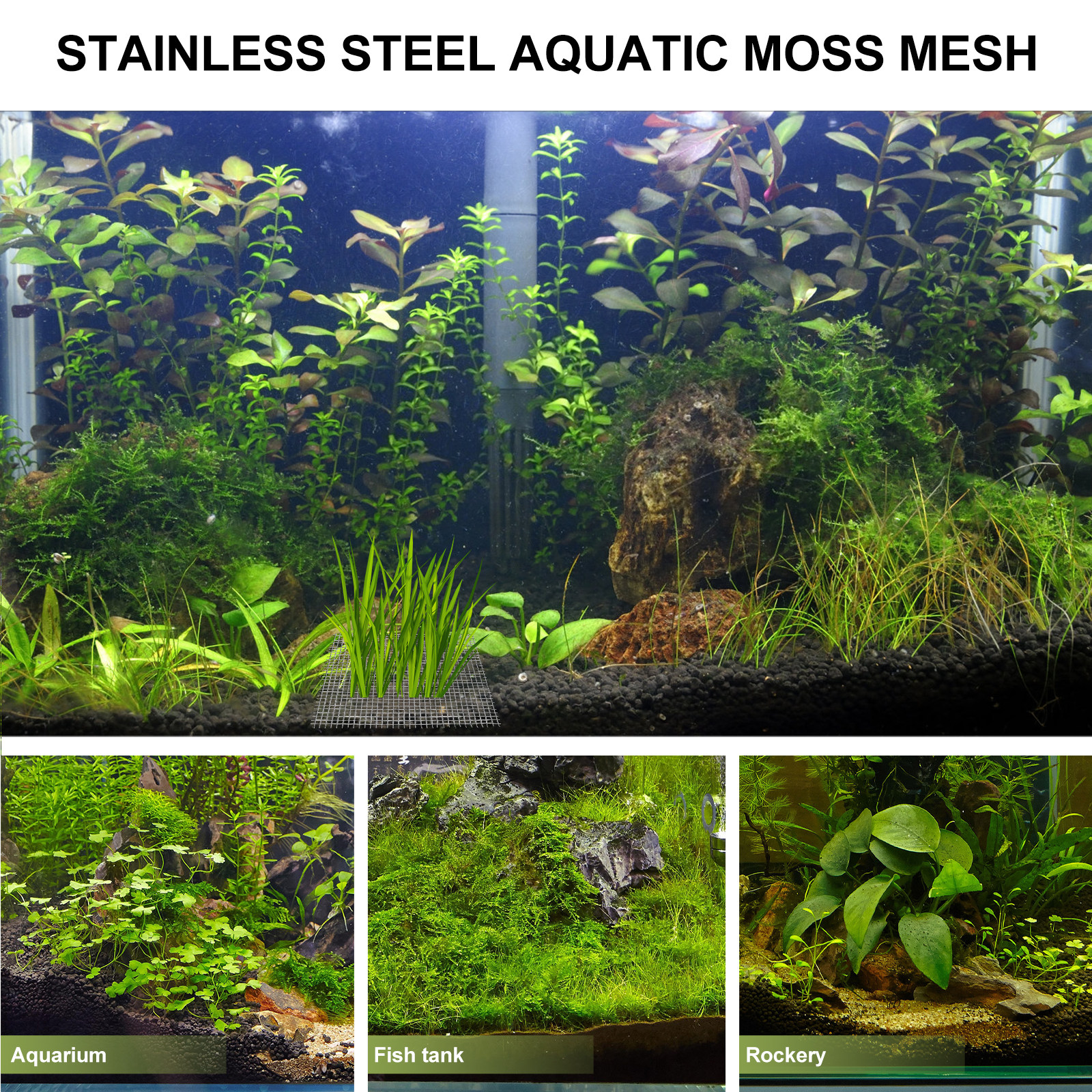 15Pcs Stainless Steel Moss Wal - Aquarium Fish Low Maintenance のレビューと価格