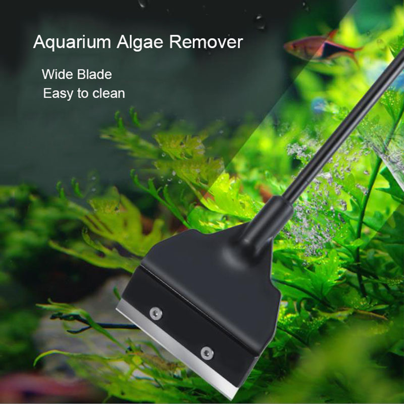 Wide Blade 6cm Light Weight Aq - Algae Scraper Blade のレビューと価格