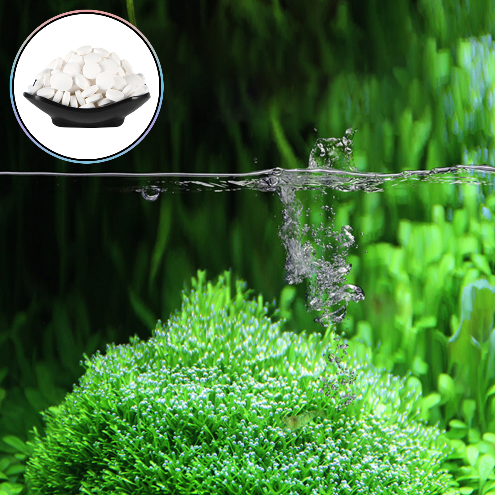 150 Tables Aquarium Algae Clea - Aquarium Fish Green のレビューと価格