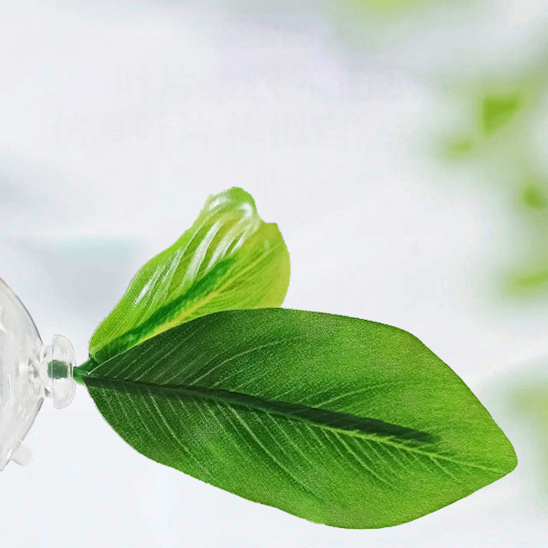 1Pc Green Leaf Betta Fish Hamm - Aquarium Fish Green のレビューと価格