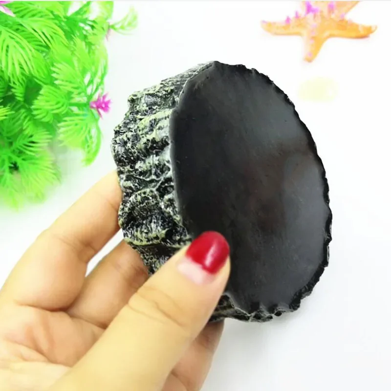 Pet Reptile Feeder Bowl Resin  - Aquarium Fish Price のレビューと価格