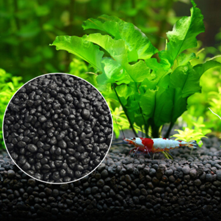 Aquarium Plant Seeds Soil Fish - Aquarium Fish Price のレビューと価格