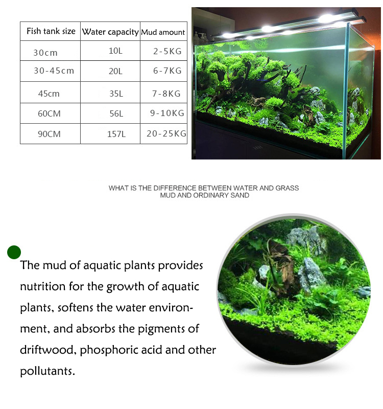 Aquarium Plant Seeds Soil Fish - Aquarium Fish Price のレビューと価格