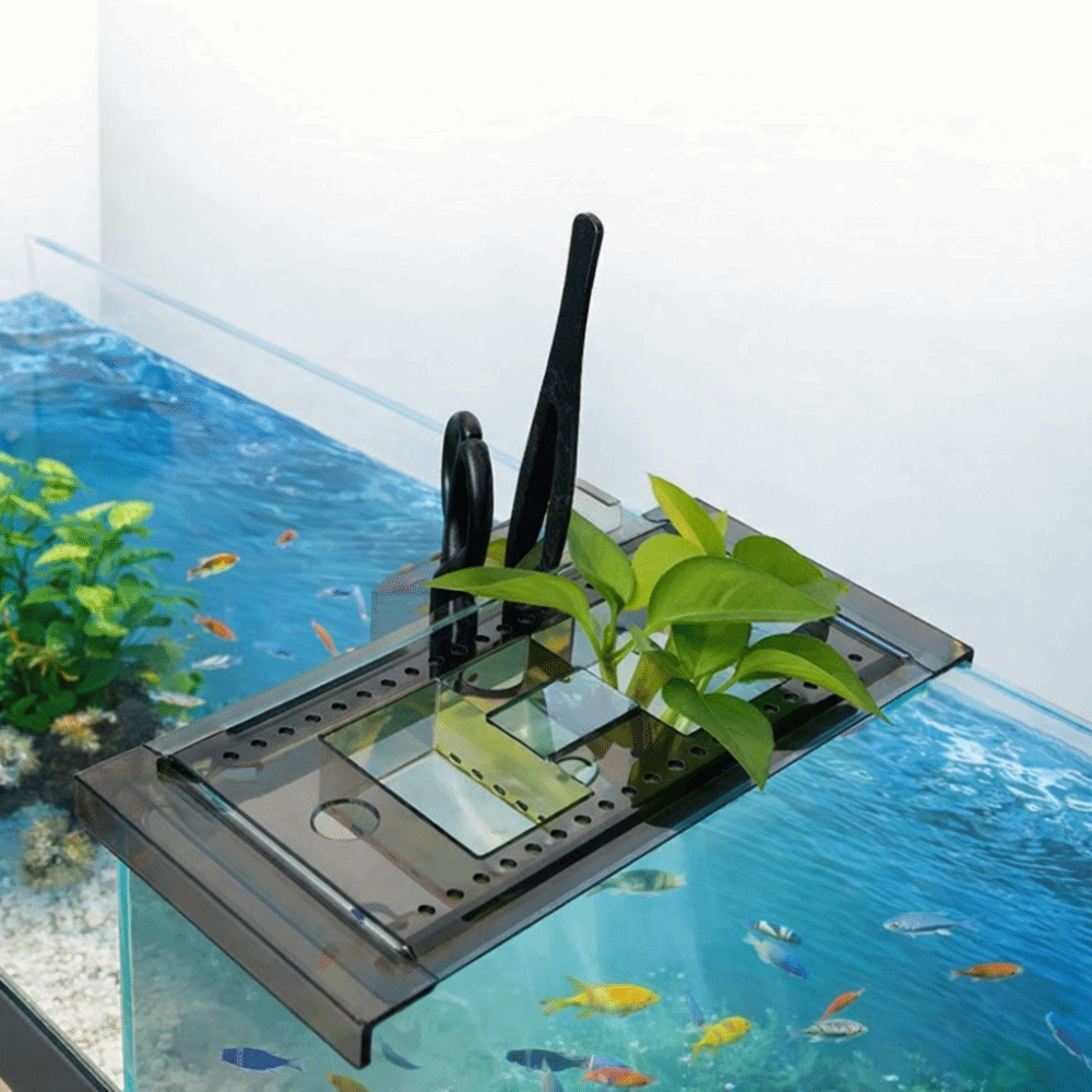 Green Plant Tray Adjustable Fi - Aquarium Fish Green のレビューと価格