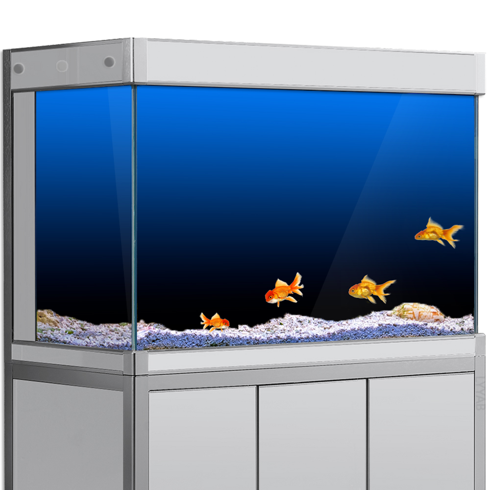 Fish Tank Background Sticker B - Aquarium Fish Green のレビューと価格