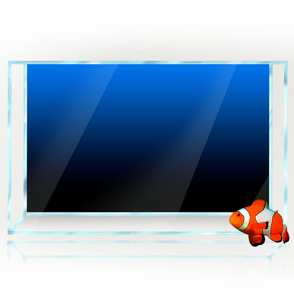 Fish Tank Background Sticker B - Aquarium Fish Green のレビューと価格