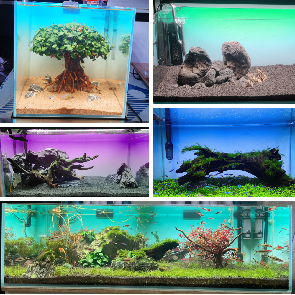 Fish Tank Background Sticker B - Aquarium Fish Green のレビューと価格