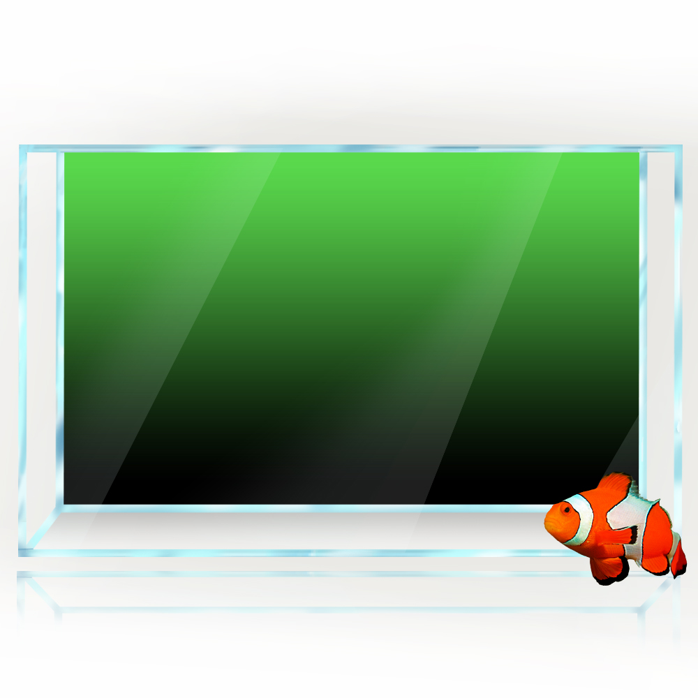 Fish Tank Background Sticker B - Aquarium Fish Green のレビューと価格