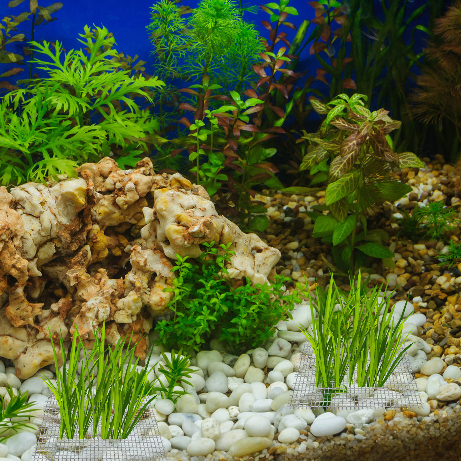 15Pcs Stainless Steel Moss Wal - Aquarium Fish Low Maintenance のレビューと価格