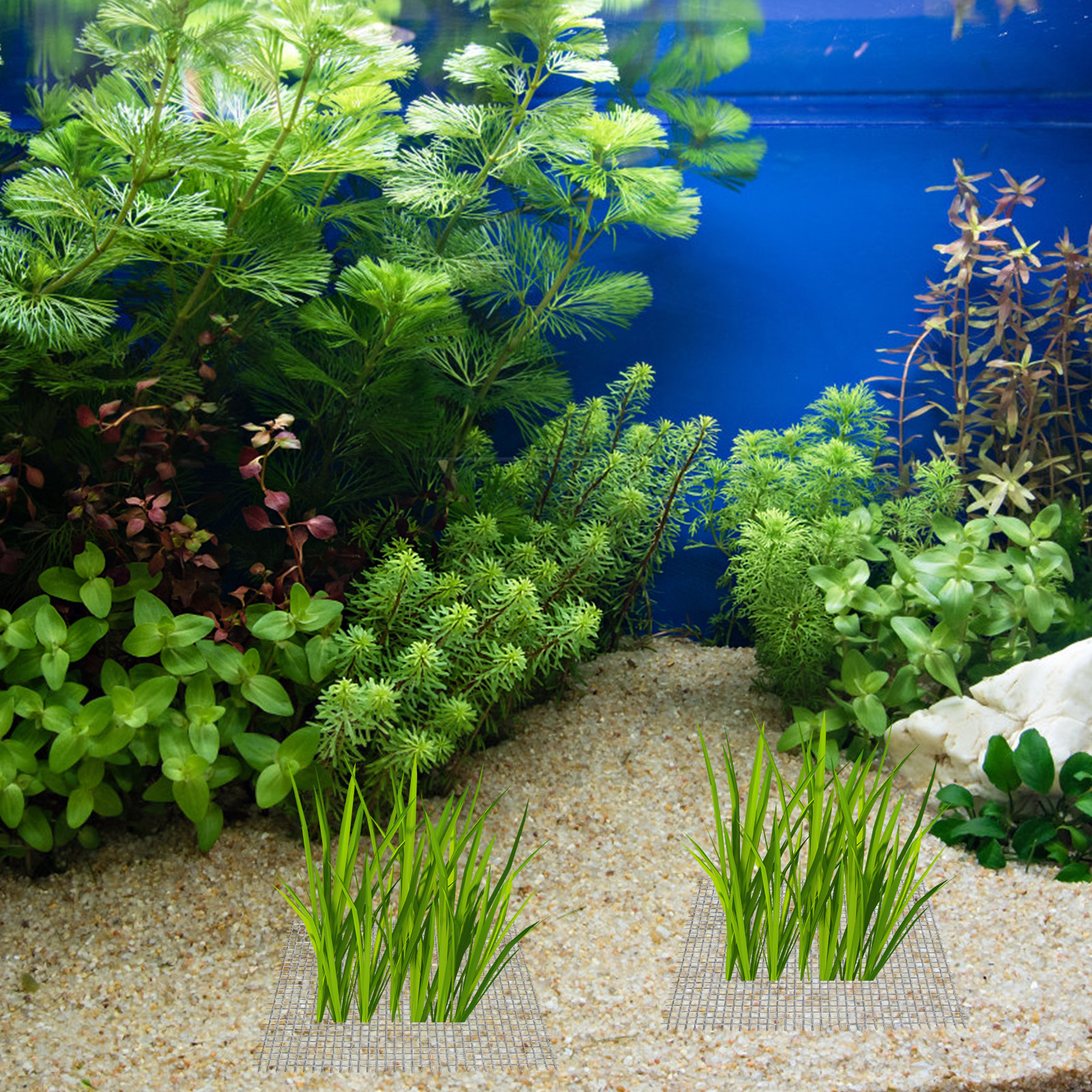 15Pcs Stainless Steel Moss Wal - Aquarium Fish Low Maintenance のレビューと価格