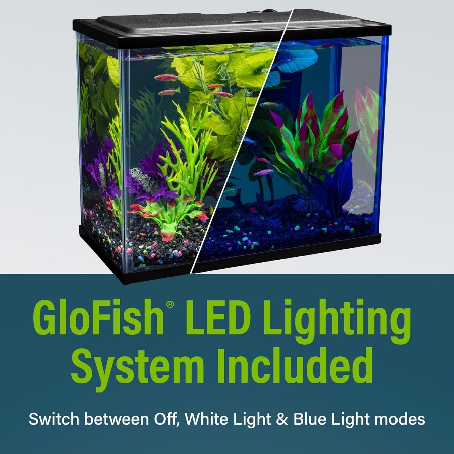 6.6 Gallon Fish Tank Starter K - Tetra Fish In Aquarium のレビューと価格