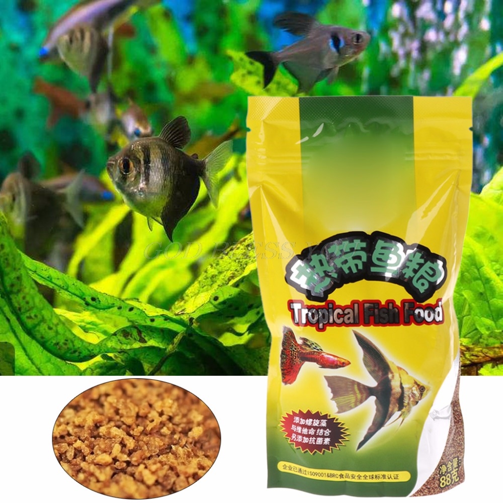 1/2pcs Aquarium Tank Tropical  - Aquarium Fish Price のレビューと価格