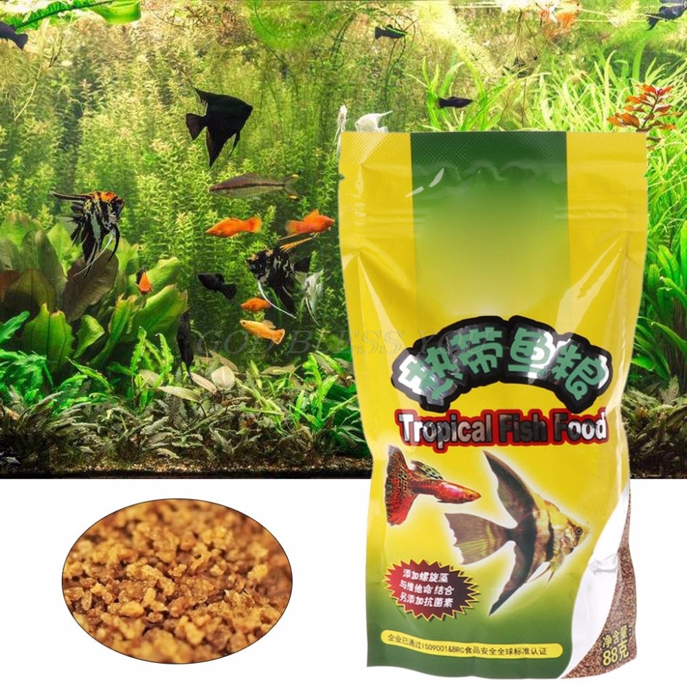 1/2pcs Aquarium Tank Tropical  - Aquarium Fish Price のレビューと価格