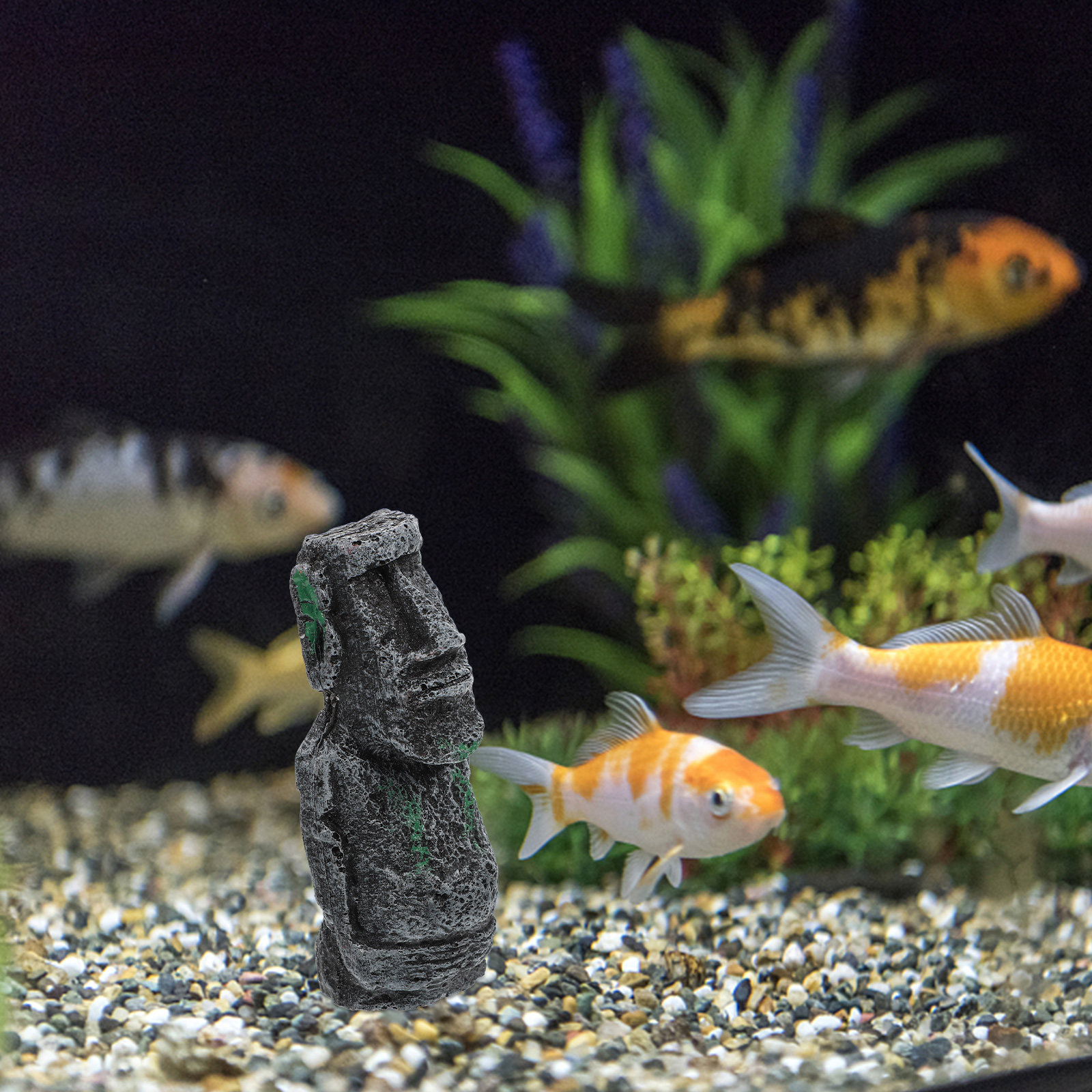 Vivid Color Detailed Resin Art - Aquarium Fish Low Maintenance のレビューと価格