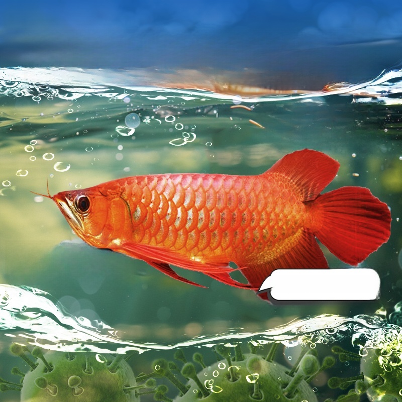Advanced Water Purification Ta - Aquarium Fish Green のレビューと価格