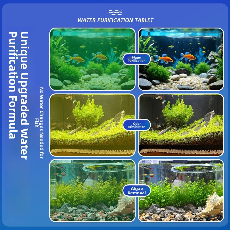 Advanced Water Purification Ta - Aquarium Fish Green のレビューと価格