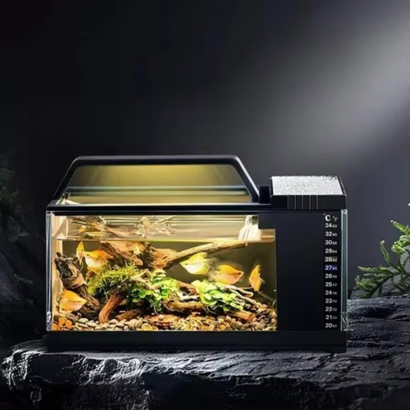 South American Style Aquarium  - Aquarium Fish Low Maintenance のレビューと価格