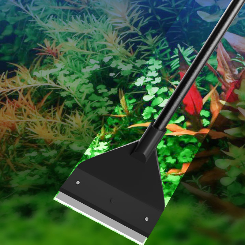 Fish Tank Cleaning Tool Flat S - Algae Scraper Blade のレビューと価格