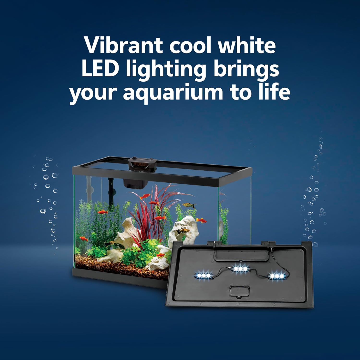 Aquarium Starter Kit with Smar - Tetra Fish In Aquarium のレビューと価格