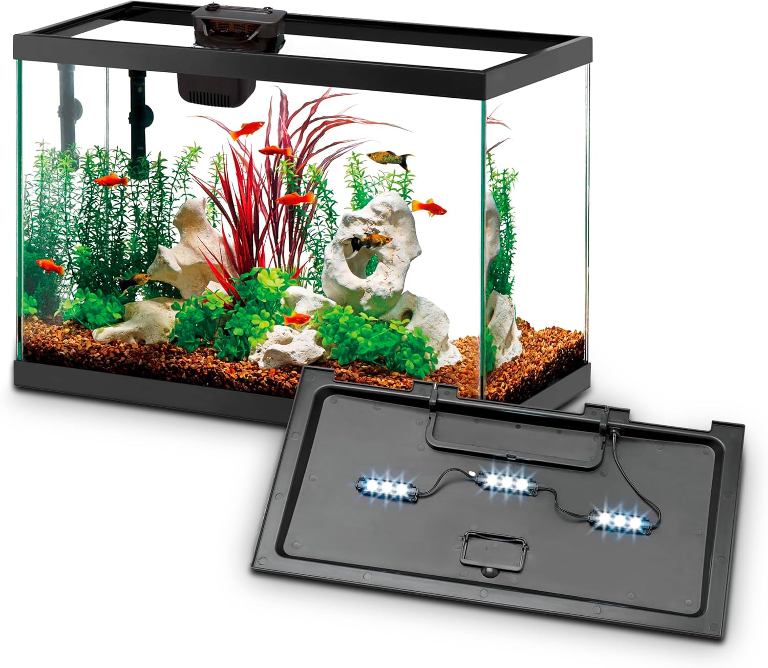 Aquarium Starter Kit with Smar - Tetra Fish In Aquarium のレビューと価格