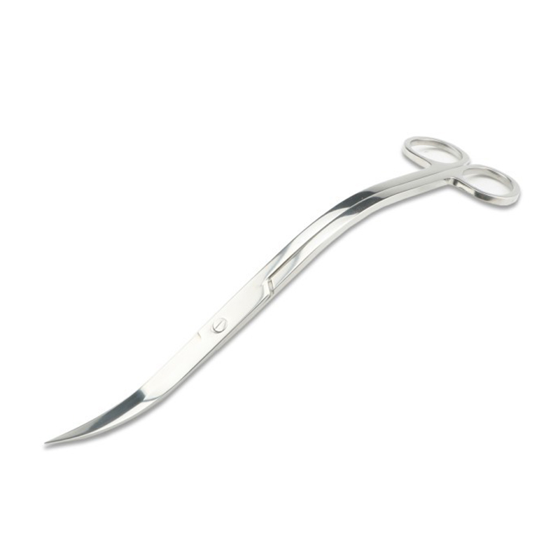 Aquarium Scissors Tweezers Too - Algae Scraper Blade のレビューと価格