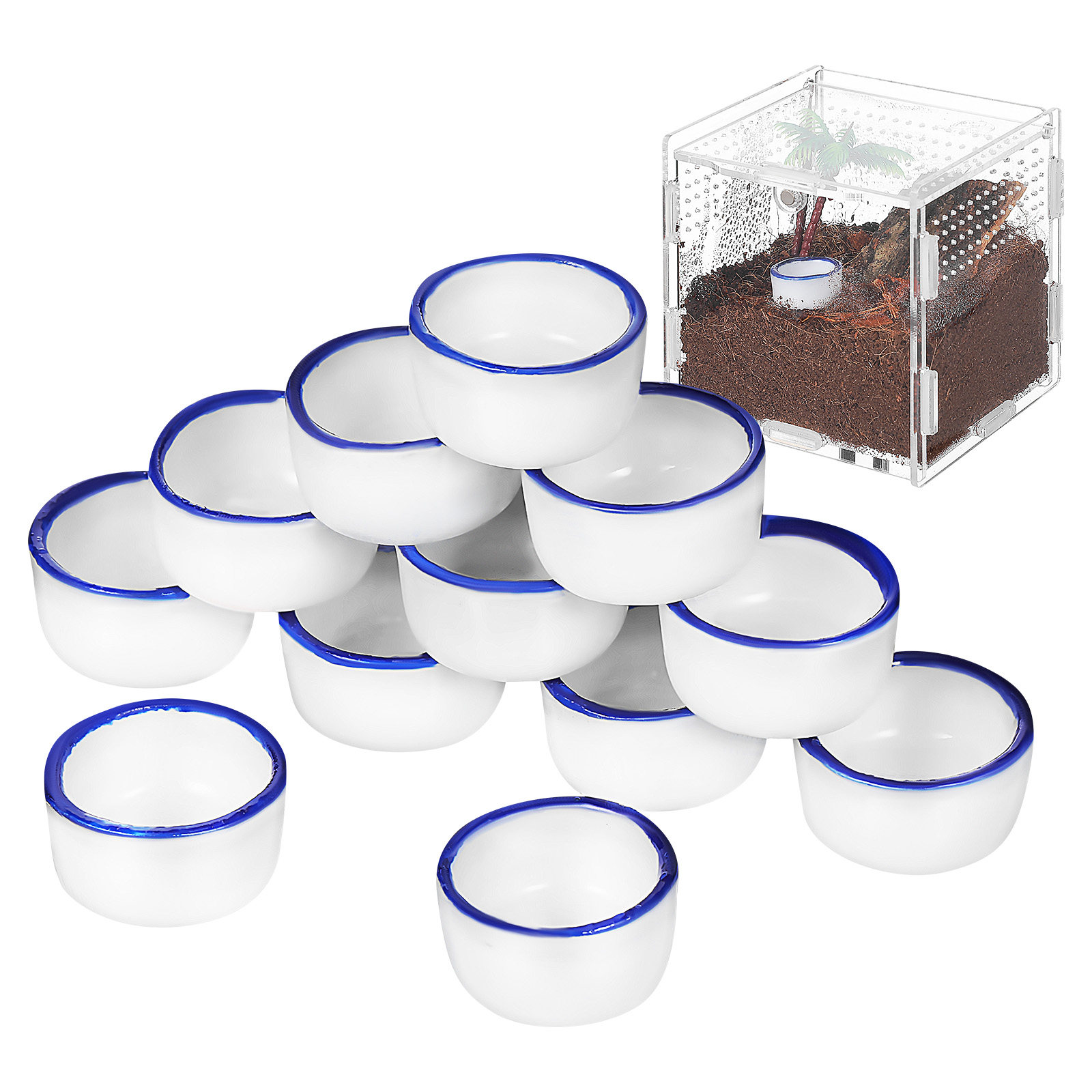 12Pcs Fine Crafted Ceramic Wat - Aquarium Fish Small のレビューと価格