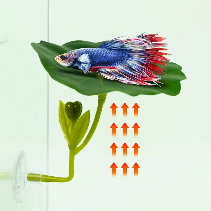 1 Pc For Betta Fish Stress-Red - Aquarium Fish Green のレビューと価格