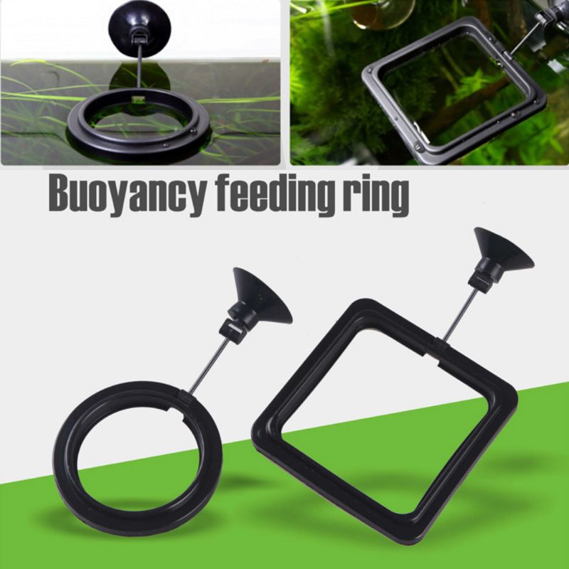 Aquarium Fish Feeding Ring Fis - Aquarium Fish Price のレビューと価格
